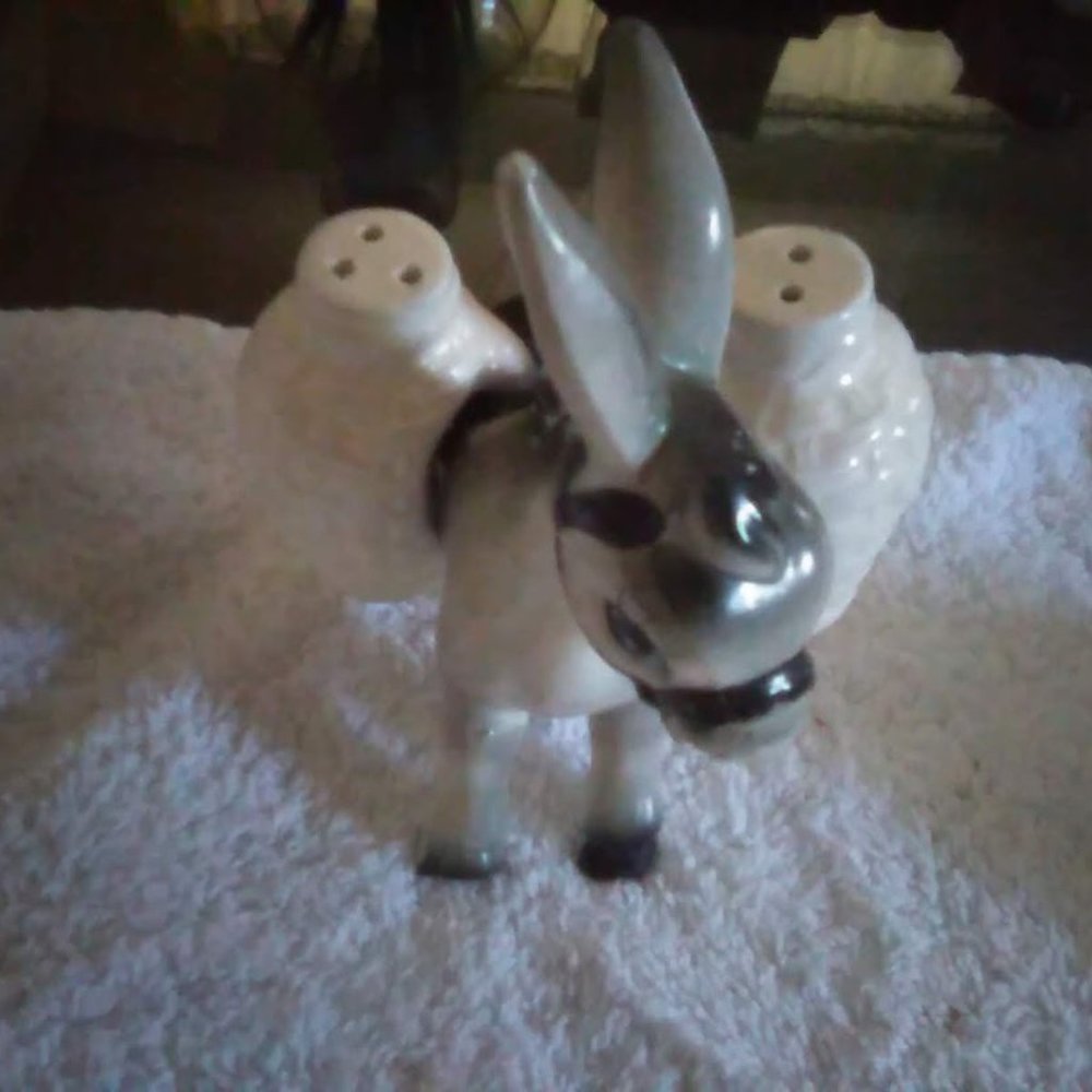 Salt and Pepper Shaker set